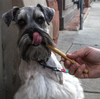 Chicken Jerky Sticks
